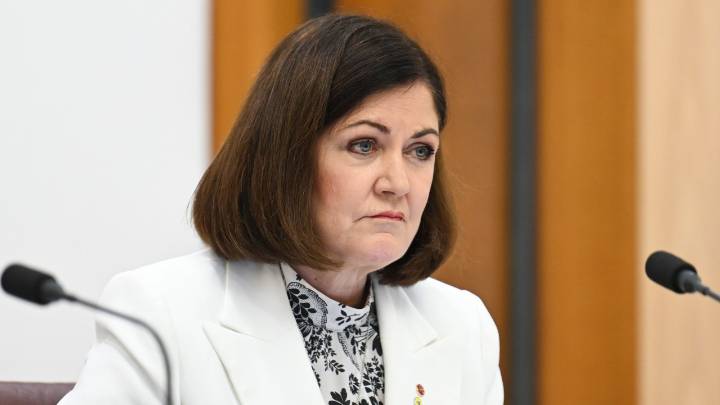 ‘Lying to Australians’: Liberal Senator denounces Prime Minister Anthony Albanese’s ‘nonsensical’ 2035 emissions reduction target