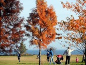 N.Y. fall foliage reports 2025: How to track peak colors this season