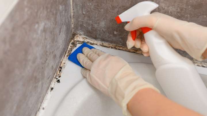 The Maintenance Mistake That Could Be Causing Mold In Your Shower