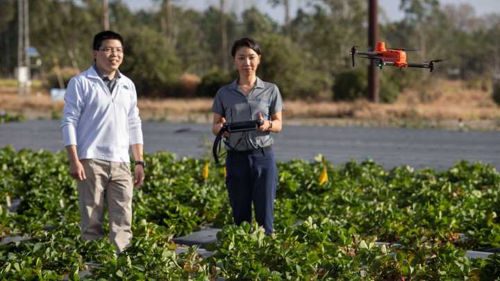 UF to be new host for major plant breeding accelerator program