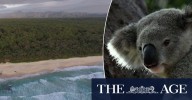 Inside the Great Koala National Park