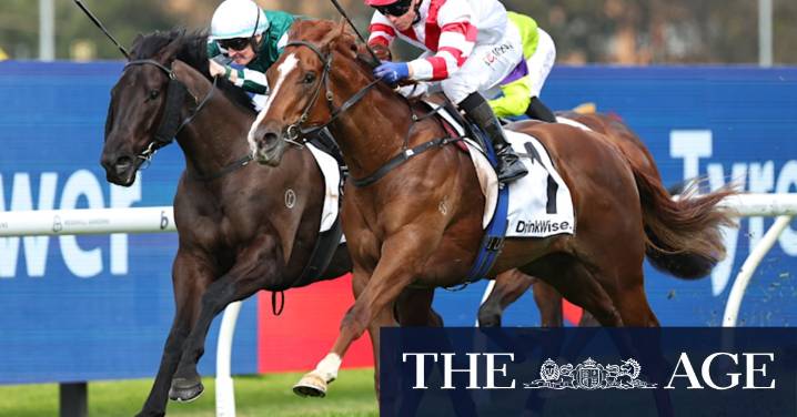 Ryan upbeat he has Skyhook on song for Golden opportunity
