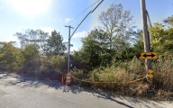 Headless torso dumped in Queens park may be missing Guyanese woman: NYPD