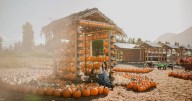 Pumpkin spice and everything nice comes to Greendale Acres this fall | Georgia Straight Vancouver’s source for arts, culture, and events