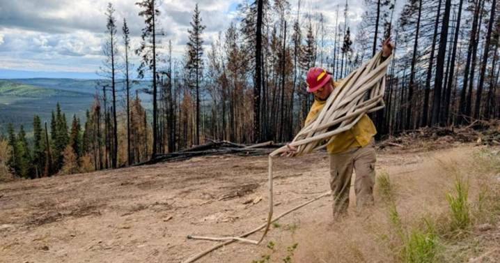 Alaska’s million-acre wildfire season, typical in size, had some unusual features