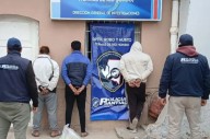 Amplio operativo por abigeato: hubo tres detenidos y secuestraron armas de fuego