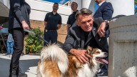 Find lost animal's owner through new microchipping scanning stations