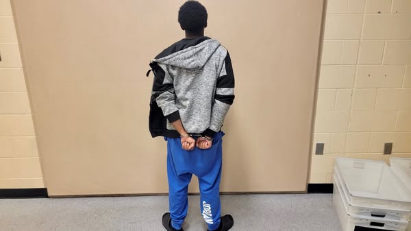 Rocklin police arrest driver with loaded ghost gun