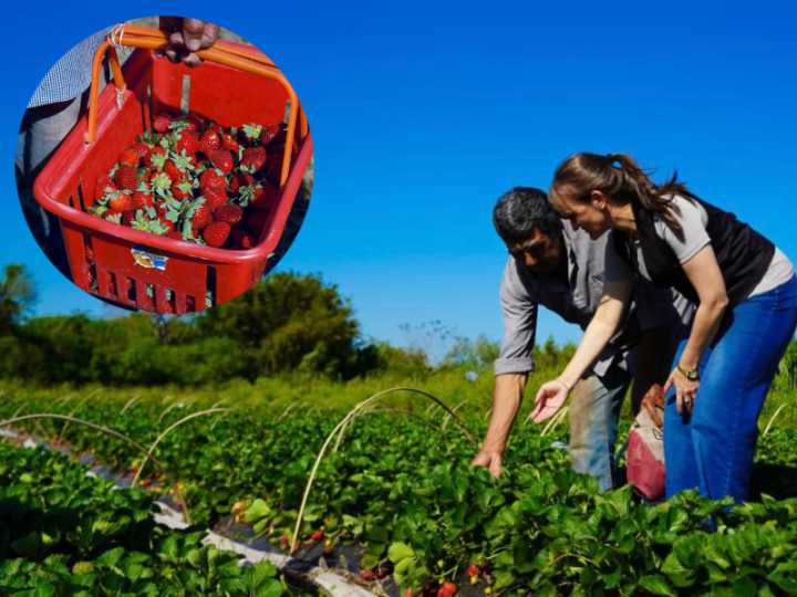 “Acompañamos al que trabaja la tierra y genera futuro” expresó la vicegobernadora Schneider