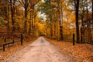 WVDNR To Open Special Access Roads for Hunters with Disabilities