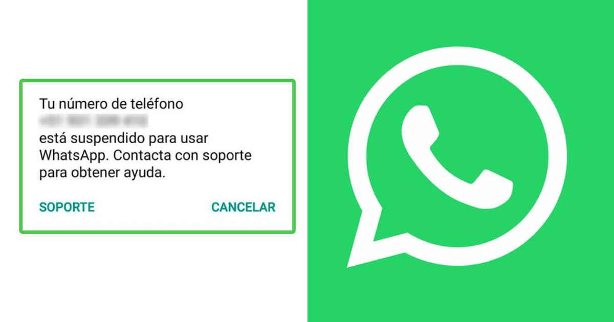 Cómo recuperar mi cuenta SUSPENDIDA en WhatsApp y por qué pasa esto