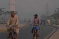 Más de 500.000 muertos al año por calor: el negacionismo y la inacción climática amenazan la vida de millones de personas