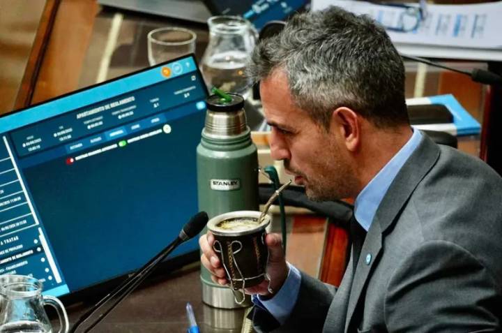 Martín Menem denunció "una sucesión de acciones desestabilizantes" contra el Gobierno de Javier Milei