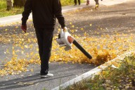 Fall Leaf Pickup Dates Are Set For Evansville And Newburgh