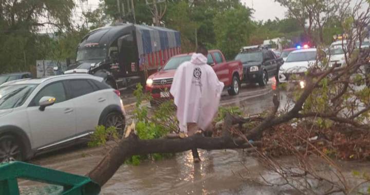 LLUVIAS dejan afectaciones en 29 municipios de Chiapas