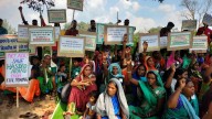 Chhattisgarh HC upholds ‘cancellation’ of forest rights of Ghatbarra villagers in Hasdeo
