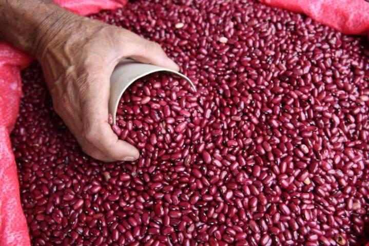 Defensor denuncia falta de frijoles en BANASUPRO; autoridades aseguran que hay reservas suficientes