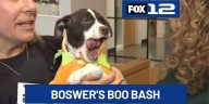 Bowser's Boo Bash raises money for Oregon Humane Society