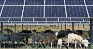 Silverstein: Bridging the red-blue divide on climate