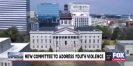 New committee to address youth violence in SC