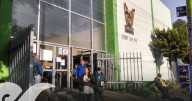 Roban equipo de la Clínica 55 en Amalucan