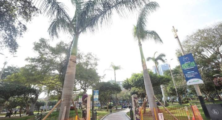 Miraflores culmina traslado de palmeras del óvalo central en el marco de la recuperación de la pileta 