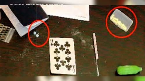 5 new arrests in overdose deaths of De Niro's grandson and Chris Stein's daughter