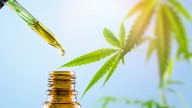 Clinical Trial: Cannabis Extract Demonstrates Superiority Over Opioids in Patients With Chronic Back Pain