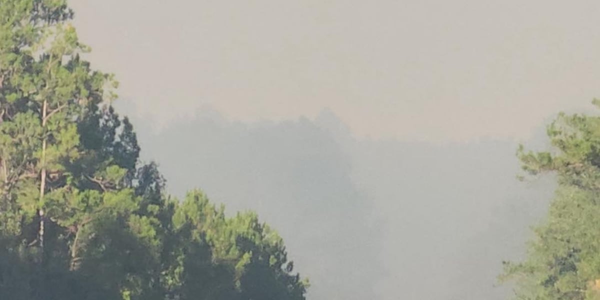 Firefighters battle 6 wildfires in Trinity County Wednesday