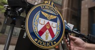 Eight protesters arrested after allegedly breaking into MP's office: Toronto police