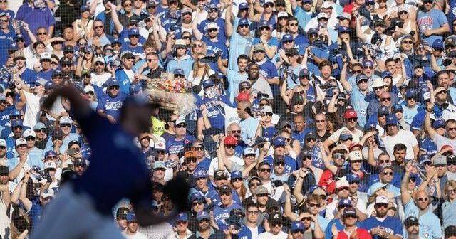 Bandwagon fan's guide to baseball: most of what you need to know to enjoy post