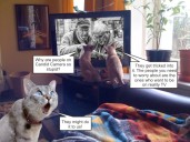 Surreality TV