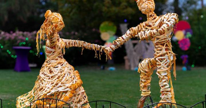 Entertainment Calendar: Oct. 22