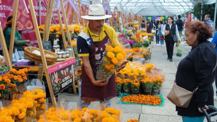 Festival del Cempasúchil en CDMX 2025: Estos son los Horarios y Cómo Llegar