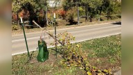 Vandals strike again: 32 newly planted trees damaged in St. Paul