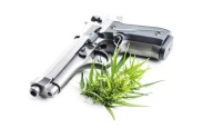 Florida guns and pot lawsuit put on hold