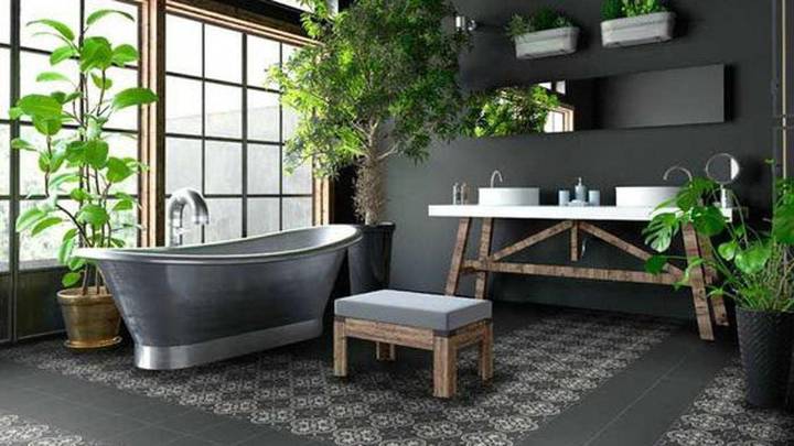 Cuidado. Las plantas que no debés poner en el baño si no tenés ventanas ni luz natural