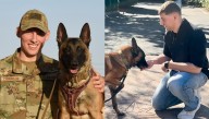 Retired military K-9 reunited with handler after 6 years apart