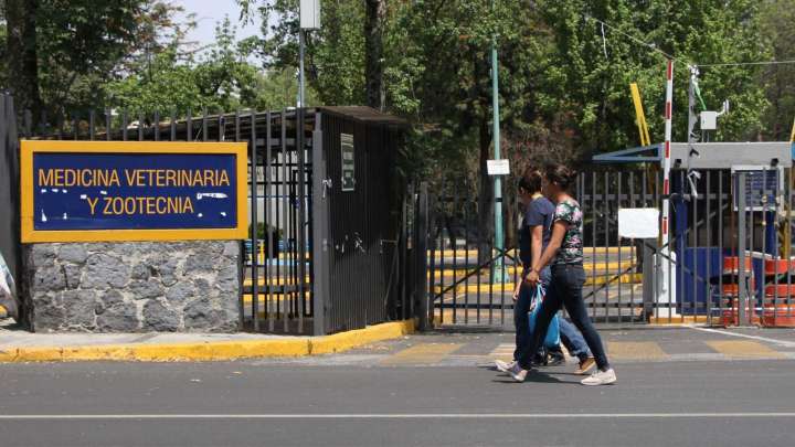 Otra Vez Reportan Presencia de Militares en la UNAM; Esto Es lo Que Sabemos