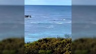 7NEWS live updates: Shark attack at surf spot on Kangaroo Island