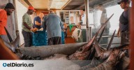 Así se vive una lonja desde dentro: las 5 lonjas más importantes de la costa catalana y cómo disfrutarlas