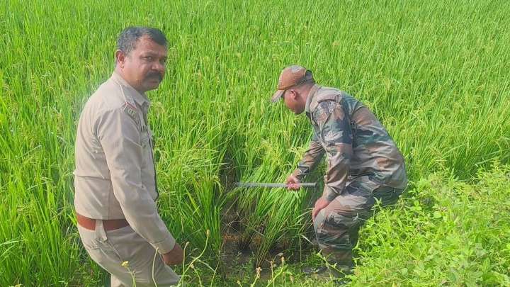 Tiger scare in Odisha village after pugmarks found
