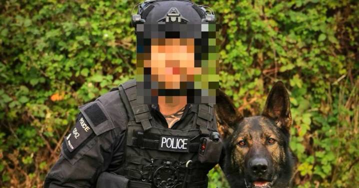Thieves ditch crashed car before three-mile chase across Devon countryside