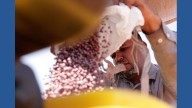 Brazilian farmers beef up soybean production as China halts business with US during trade fight