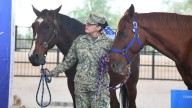 Recibe DIF Estatal donación de caballos por parte de la Sedena