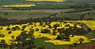 Farmland value in reverse as economy tightens
