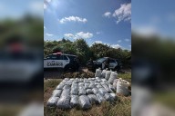 Aseguran 500 kilos de marihuana