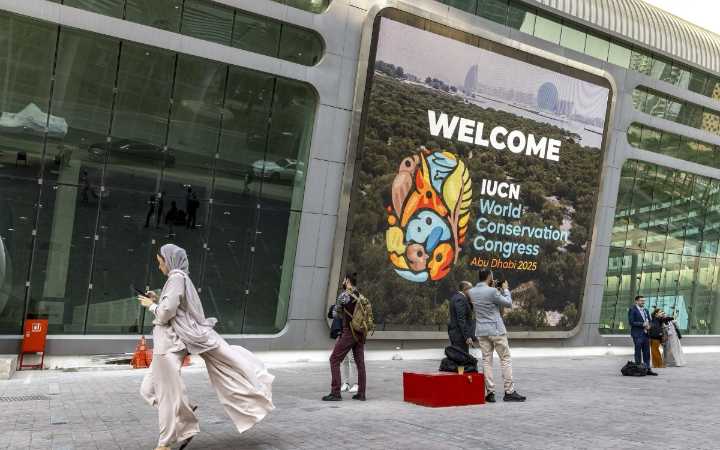 El Congreso Mundial de la Naturaleza: una fiesta de diversidad biológica y cultural