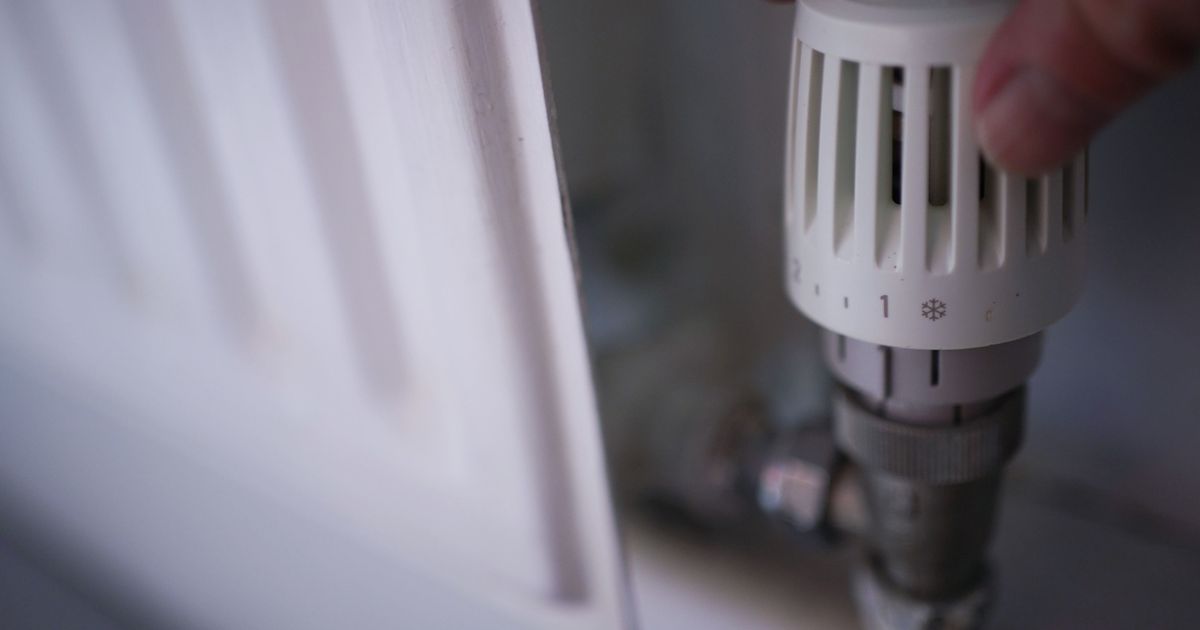 Martin Lewis' MSE suggests halogen heaters for efficiency
