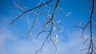 When is the first frost in Iowa? Here are the historical trends.